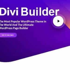 Divi Builder