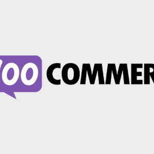 WooCommerce API Manager Latest