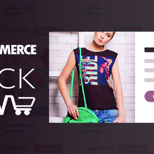 WooCommerce Quick View 1.8.2