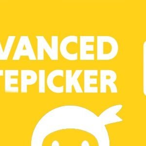 Ninja Forms Advanced Datepicker  3.3.1