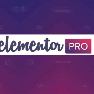 <strong>[Lifetime Key] Elementor Pro</strong>